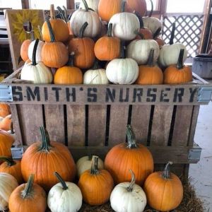 10/10 - 10/24  Fall Workshops at Smith's Nursery
