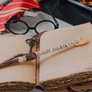 10/31 Halloween at Hogwarts with the NC Symphony