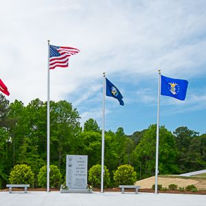 A Veterans Day Remembrance - Cary