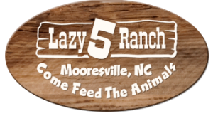 Lazy 5 Ranch