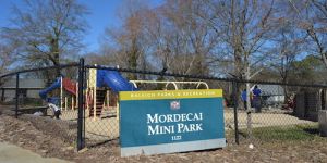 Mordecai Mini Park
