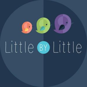 Little By Little Raleigh - Birthday Parties