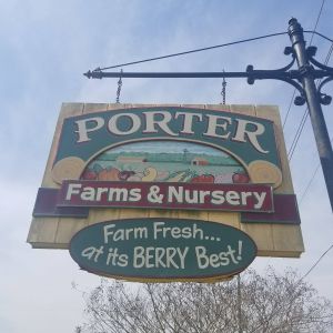 Porter Farms and Nursery (Raleigh)