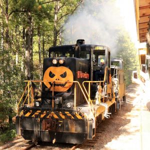 10/15/2022 - 10/29/2022 New Hope Valley Railway Track or Treat